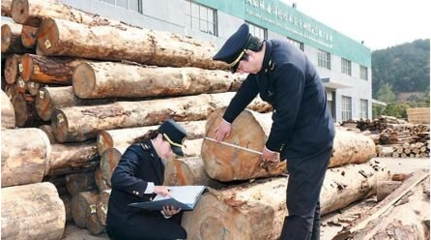 湖州市进口木材总量及增长幅度创历史新高的原因分析